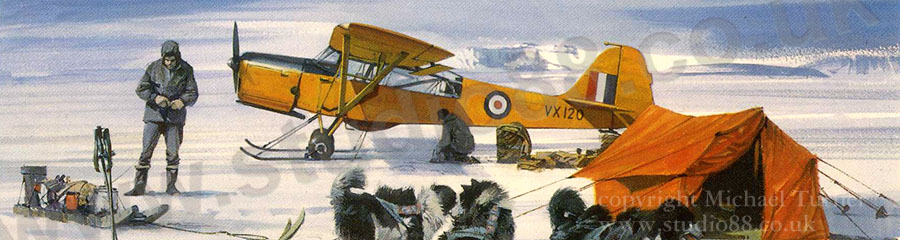 Detail from Antarctic Auster - Greeting card from a painting by Michael Turner
