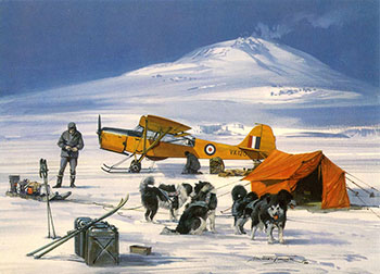 Antarctic Auster - Greeting card from a painting by Michael Turner